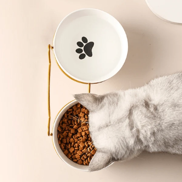 Gamelle pour chat ergonomique - Bol Céramicat™ : bol céramique