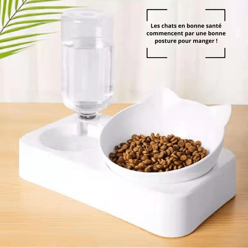 Gamelle pour chat 2 en 1 - Croc-Water™ : avec distributeur d'eau
