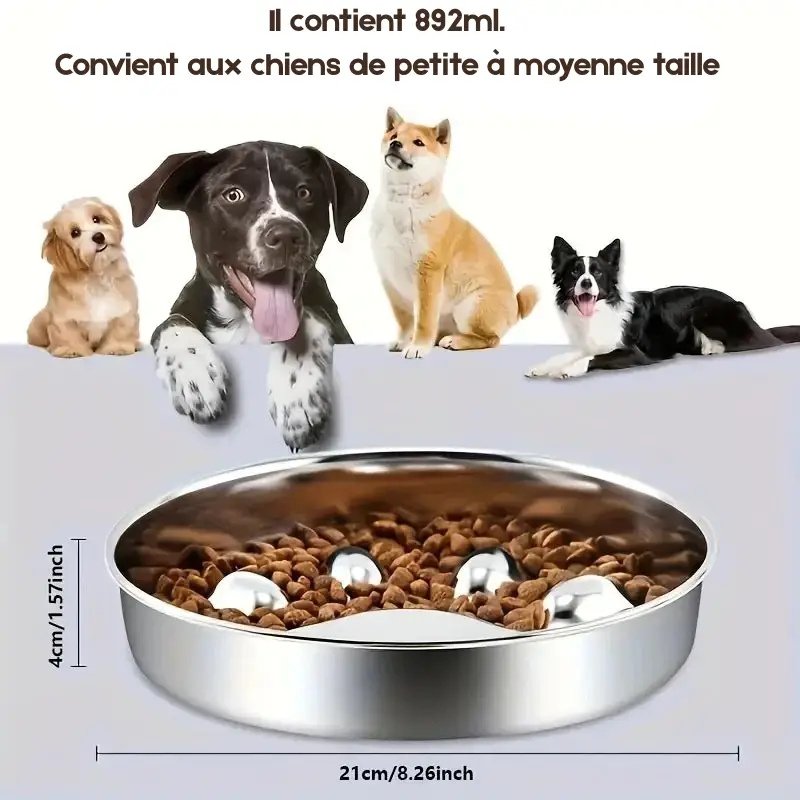 Gamelle anti-glouton pour chien en inox