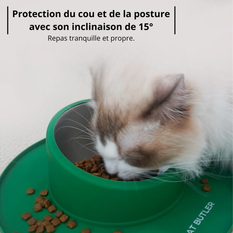 Gamelle chat - bol inox amovible & sol propre - BowlClean™
