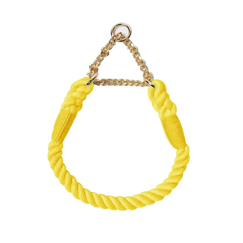 Collier en corde pour chien