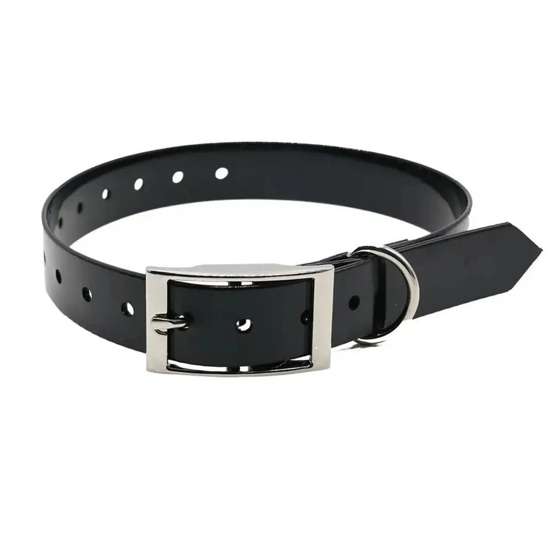 Collier chien de chasse