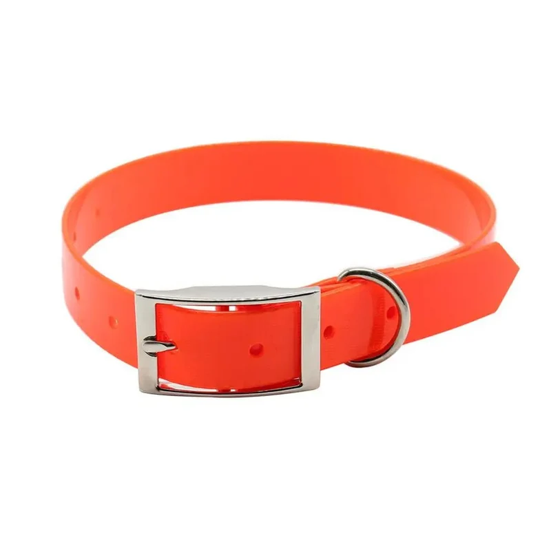 Collier chien de chasse