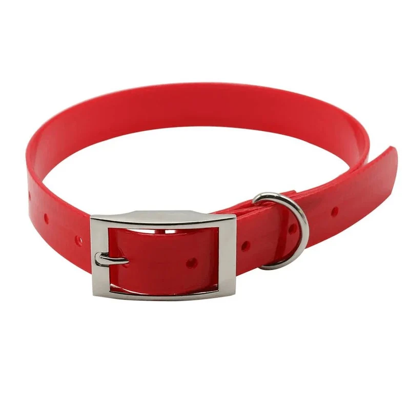 Collier chien de chasse