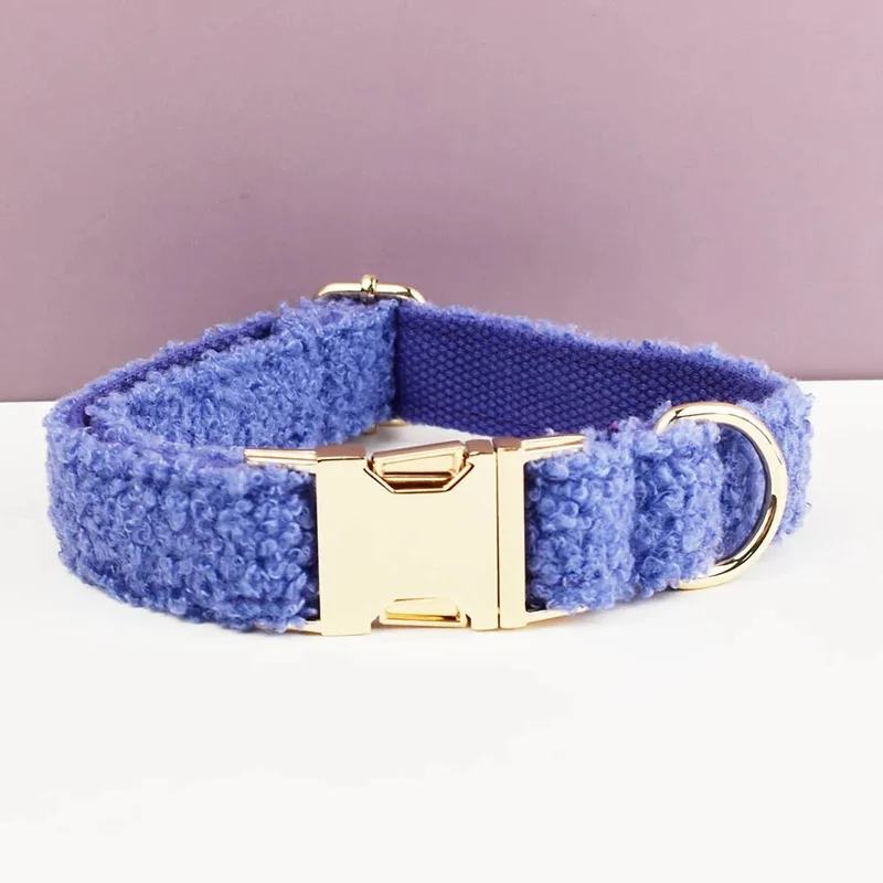 Beau collier chien