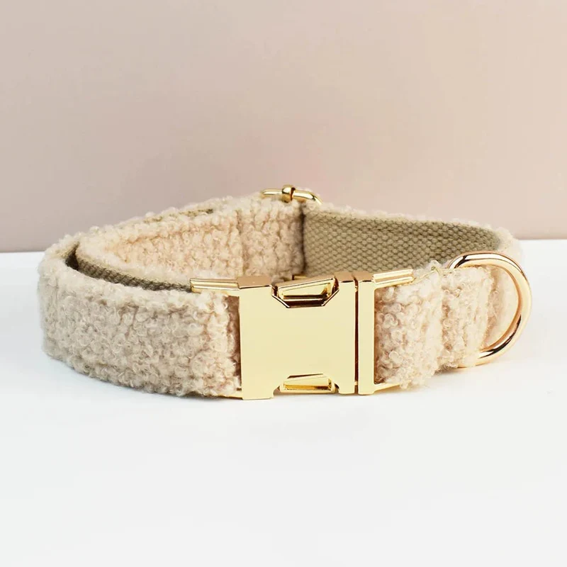 Beau collier chien