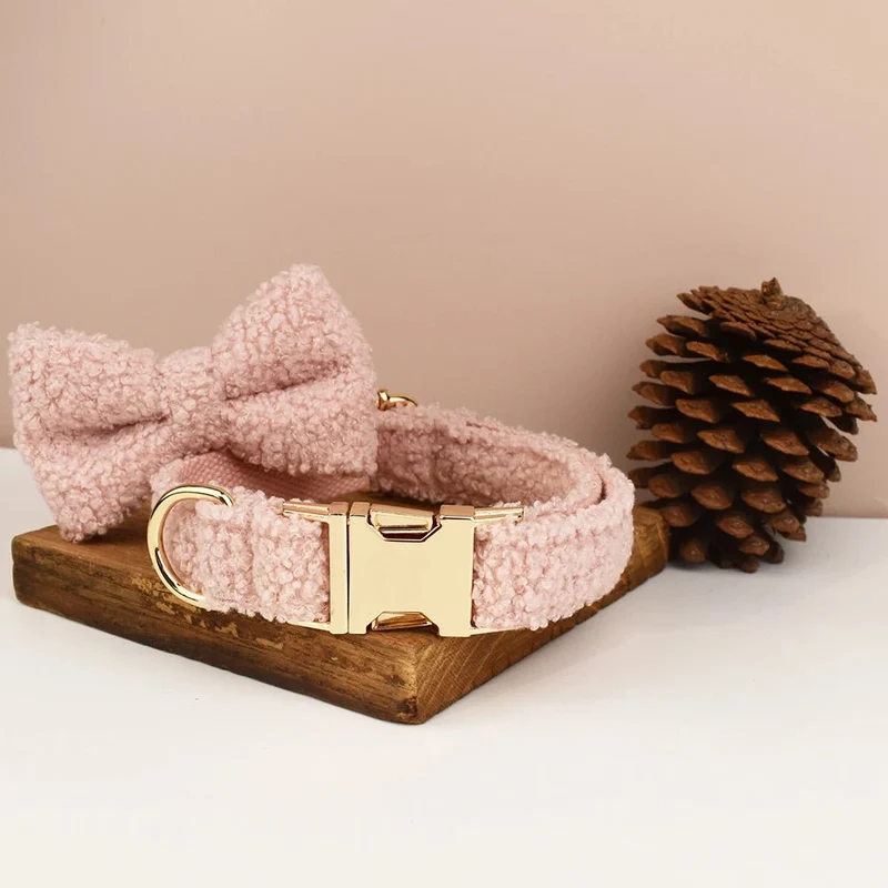Beau collier chien