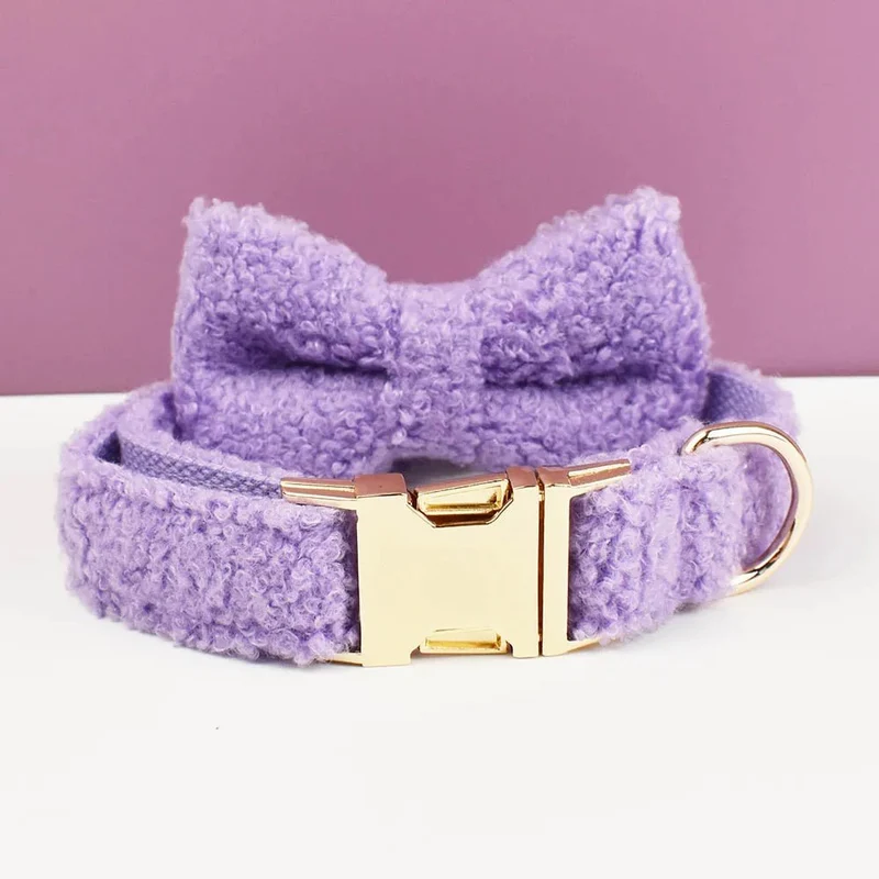 Beau collier chien