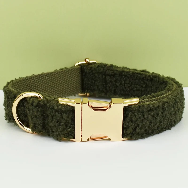 Beau collier chien