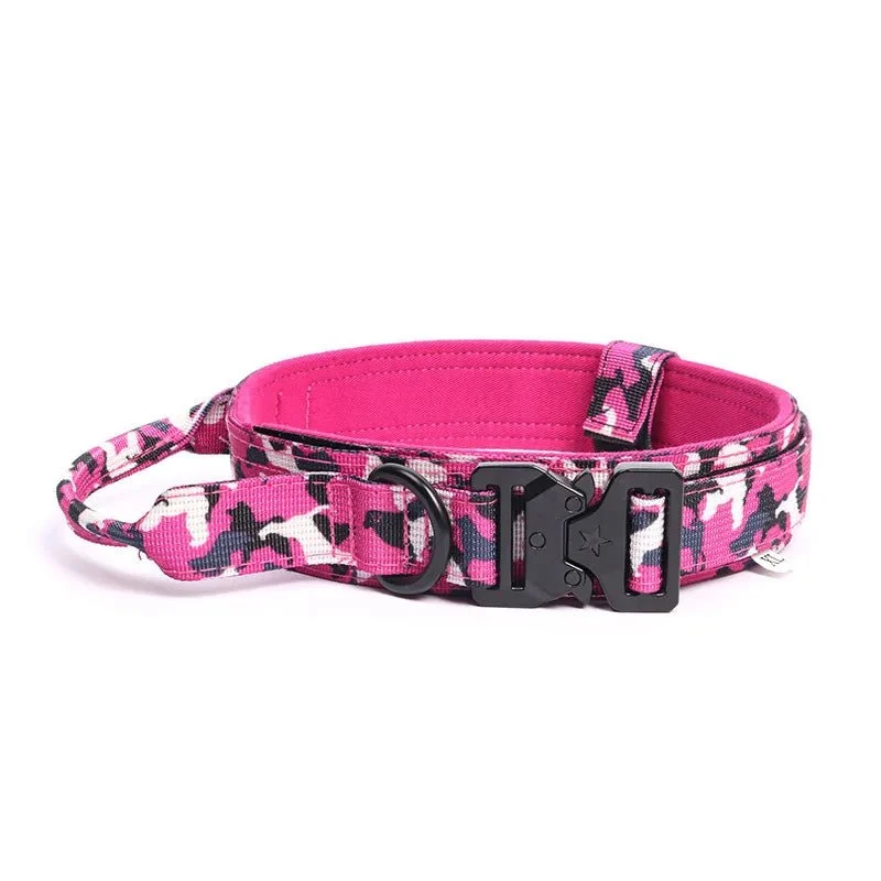 Collier militaire chien