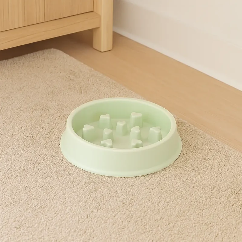 Gamelle chien pour anti-morfale