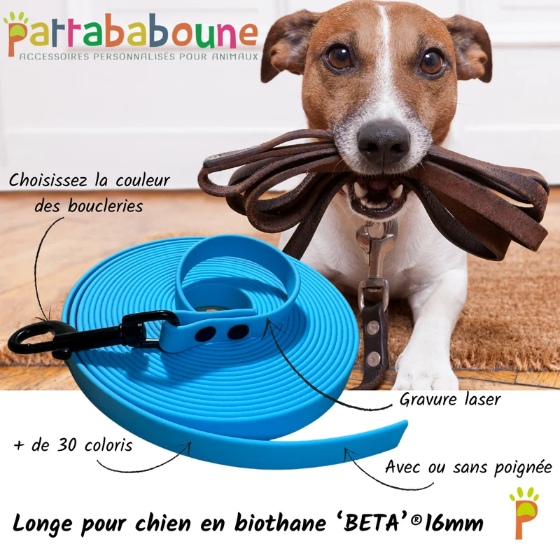Longe personnalisée pour chien en biothane 16 mm - Gravure laser