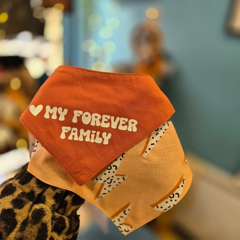 Bandana pour chien réversible Soulmates