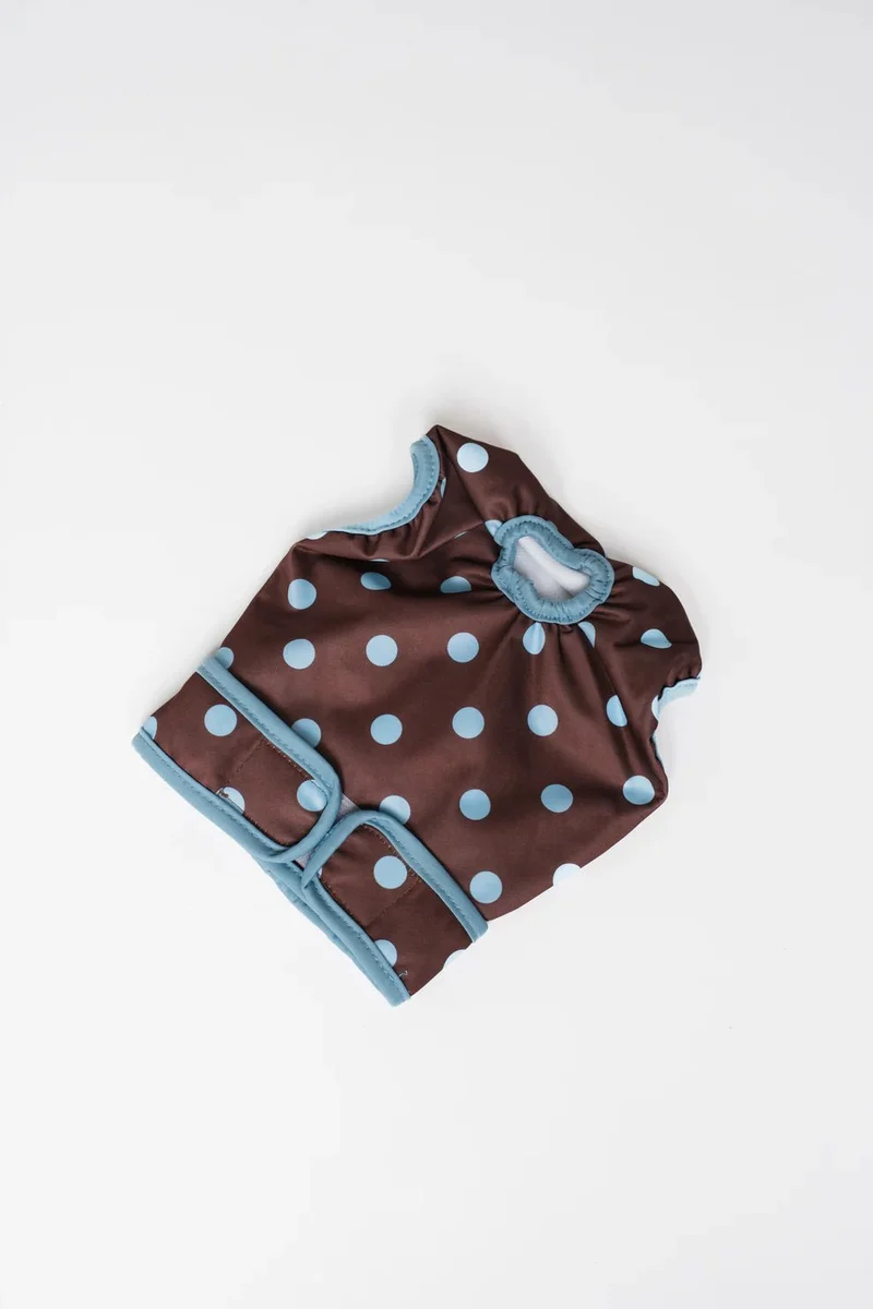 Culotte menstruelle pour chienne à pois – confort & sérénité