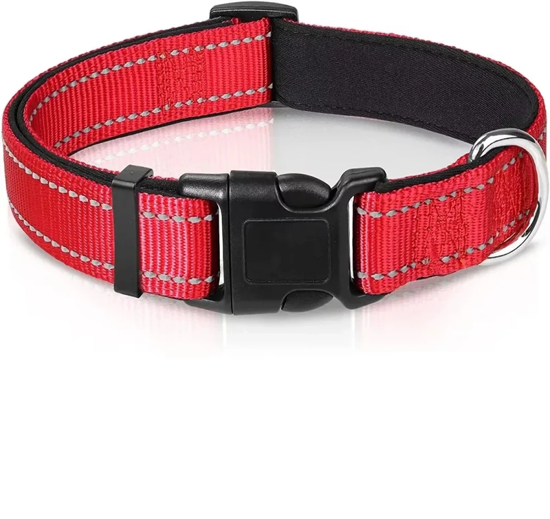 Collier pas cher pour chien