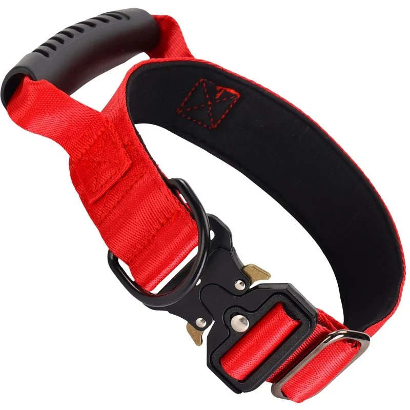 Collier gros chien avec poignée