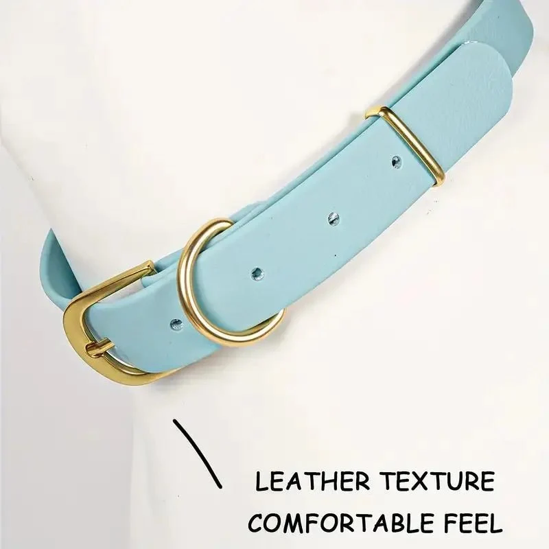 Collier plat chien