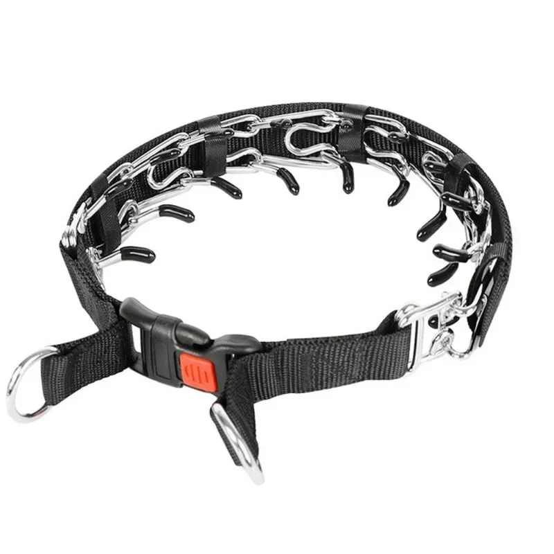 Collier chien qui tire