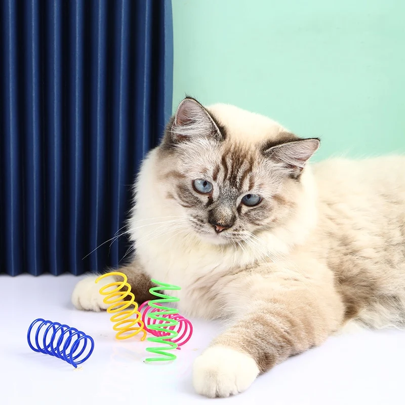 Ressorts de jeu pour chat