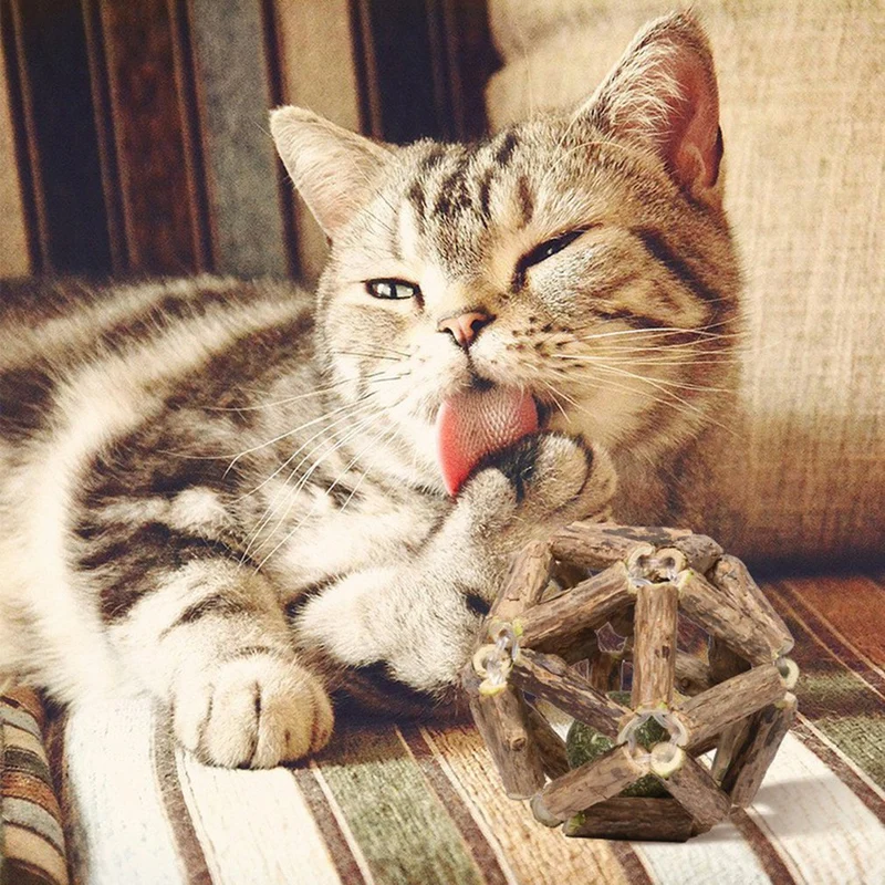 Boule de jeu pour chat