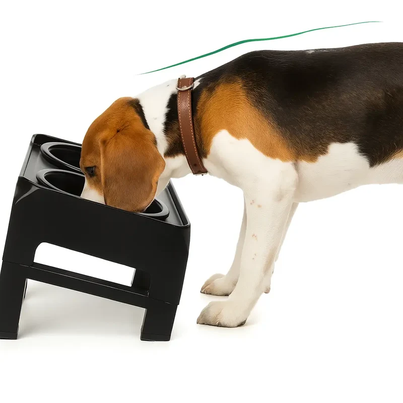 Gamelle chien surélevé anti-glouton et à eau