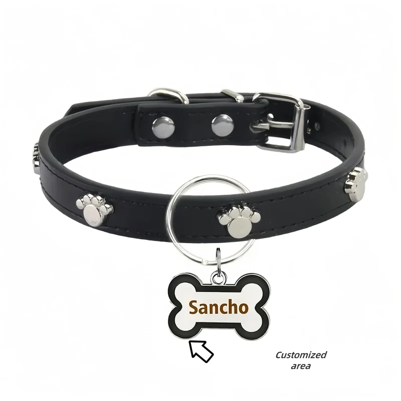 Collier avec médaille pour chien