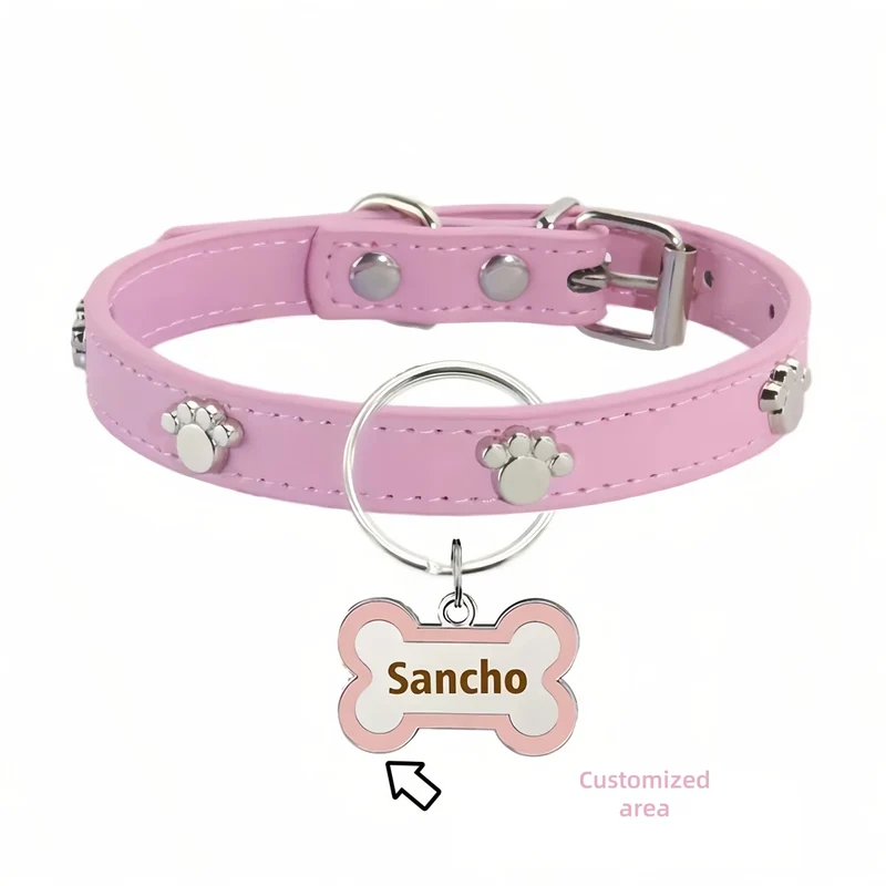 Collier avec médaille pour chien