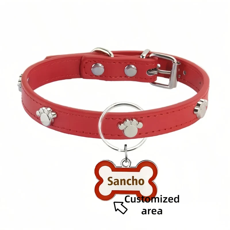 Collier avec médaille pour chien