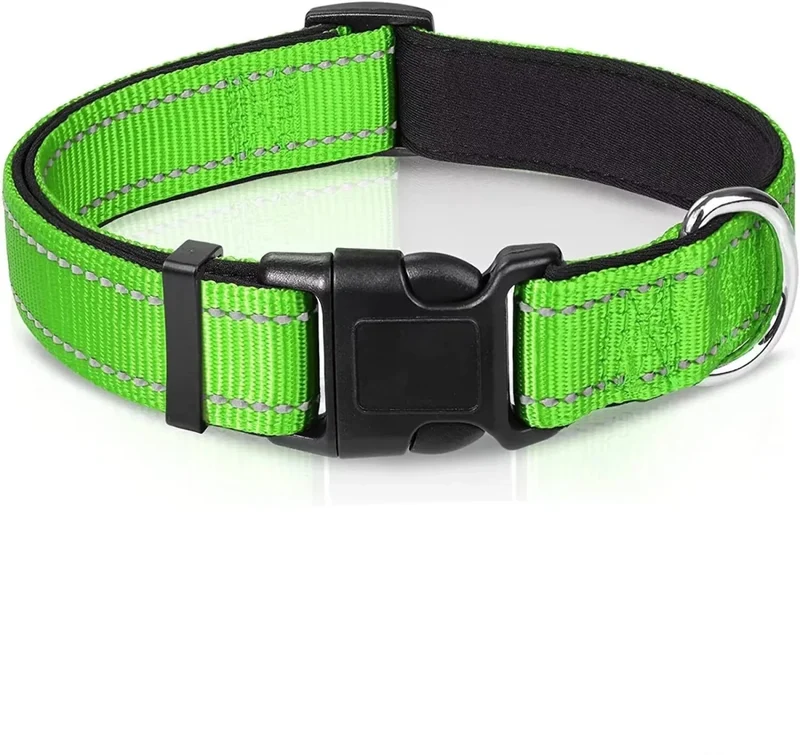 Collier chien sécurité