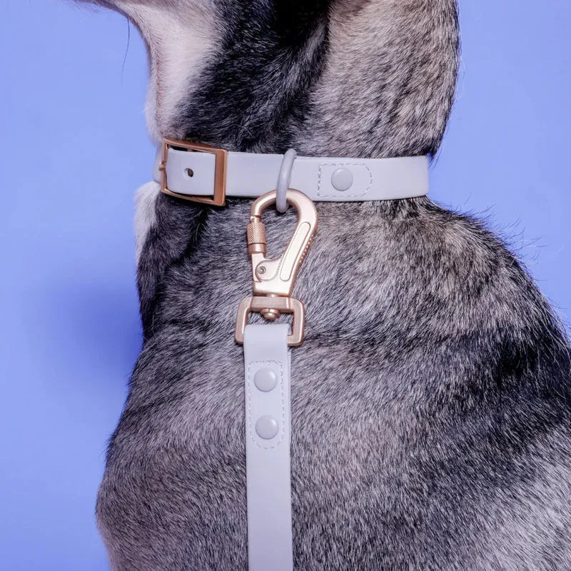Laisse pour chien multipositionnable imperméable gris perle– Cancer