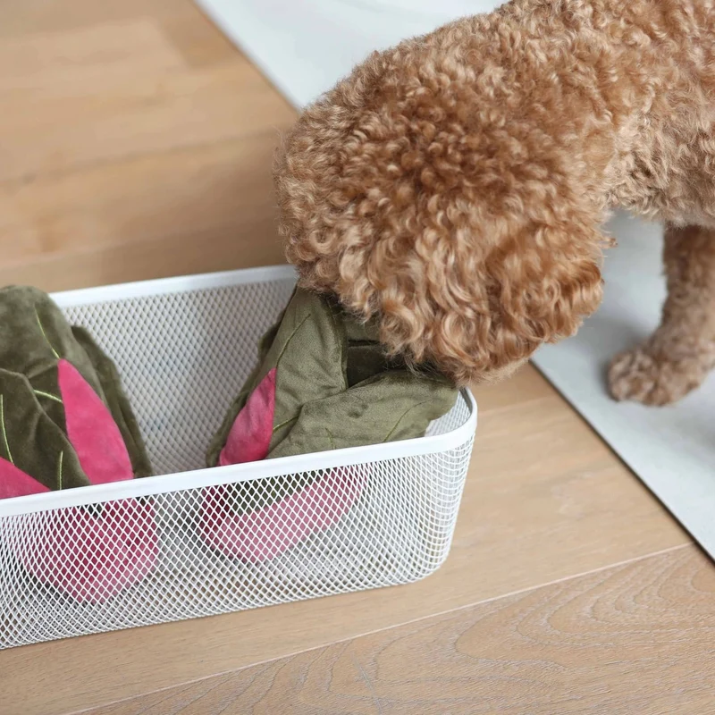 Jouet de fouille pour chien 🥬 Blette – Pups & Bubs