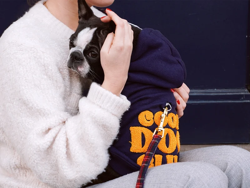 Hoodies à capuche pour chien