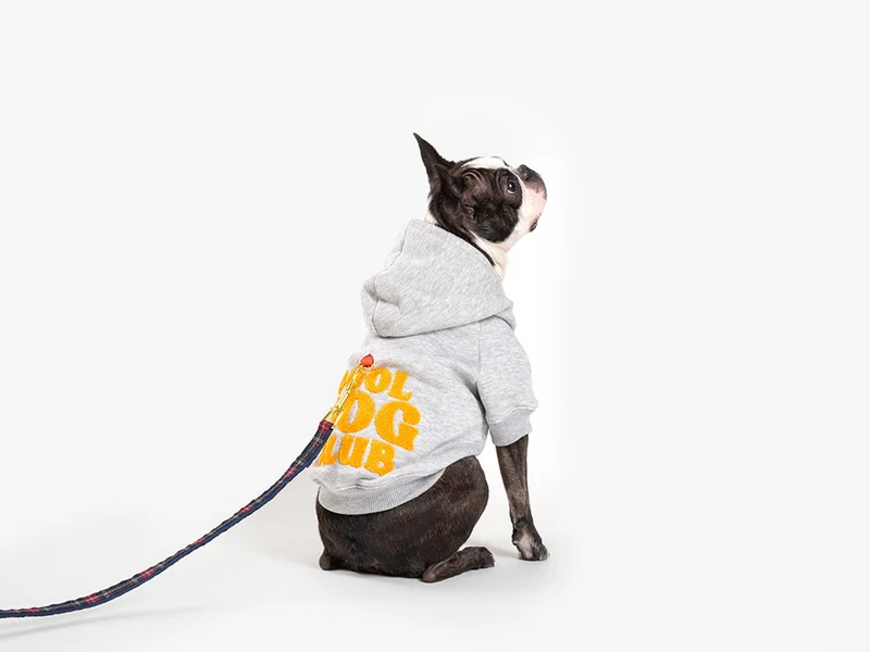 Hoodies à capuche pour chien