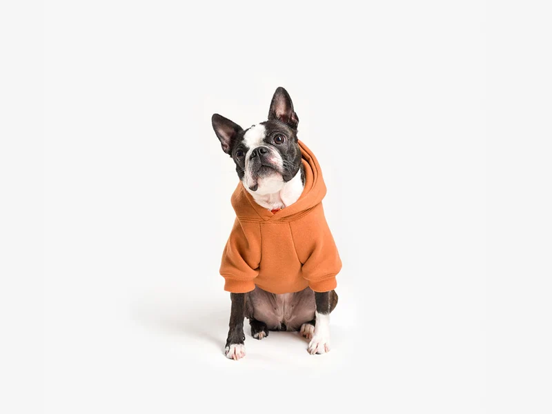 Hoodies à capuche pour chien