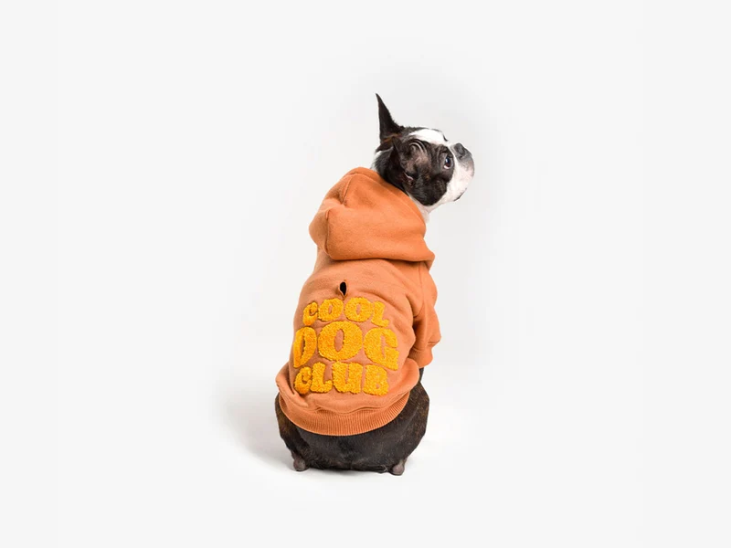 Hoodies à capuche pour chien