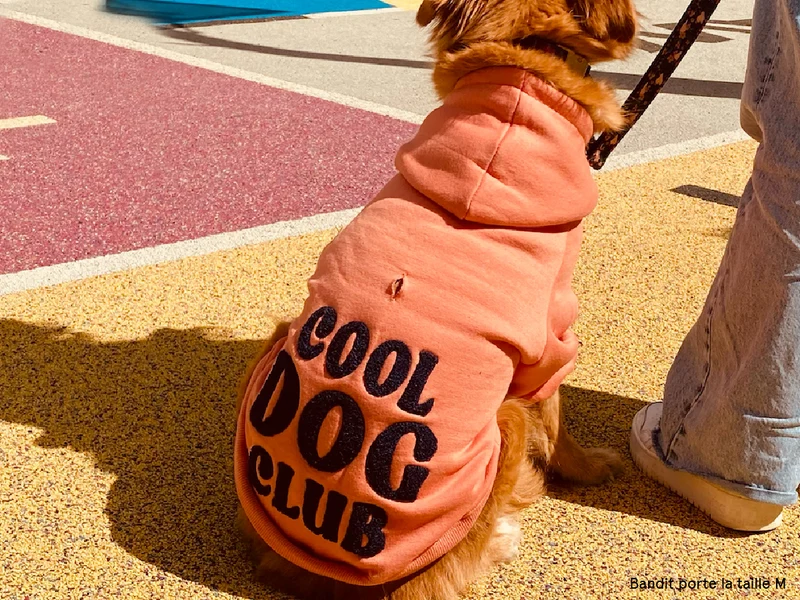 Hoodies à capuche pour chien