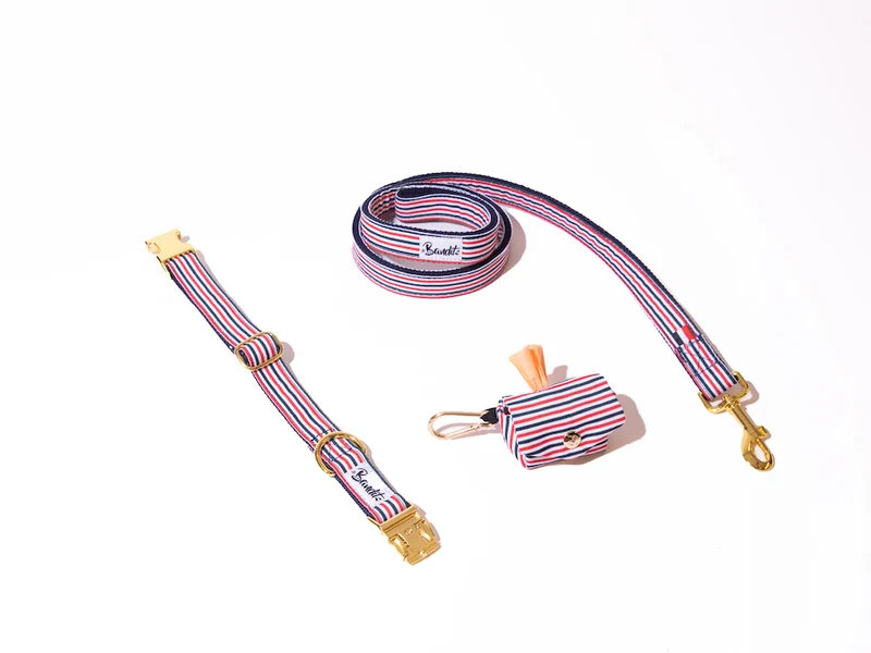 Kit Collier + Laisse + Pochette sacs à crottes