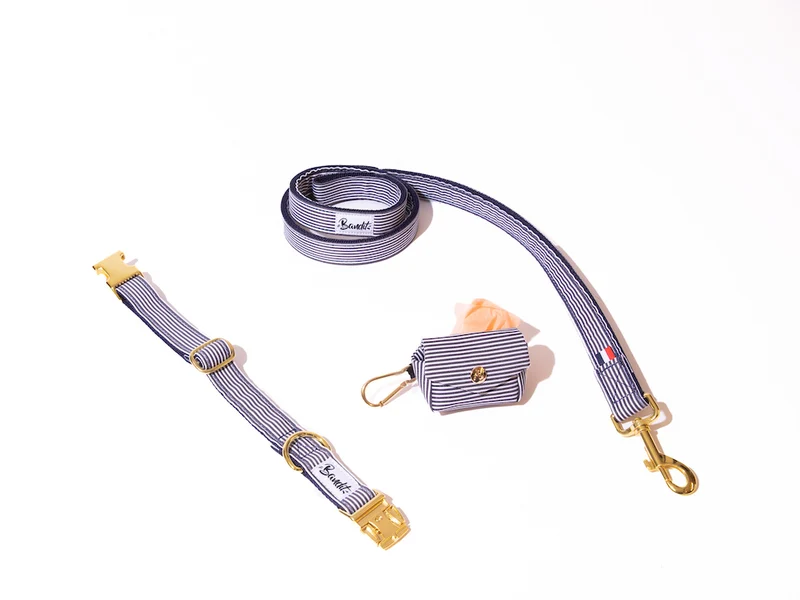Kit Collier + Laisse + Pochette sacs à crottes