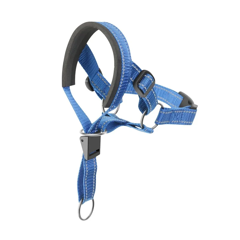 Collier licol pour chien