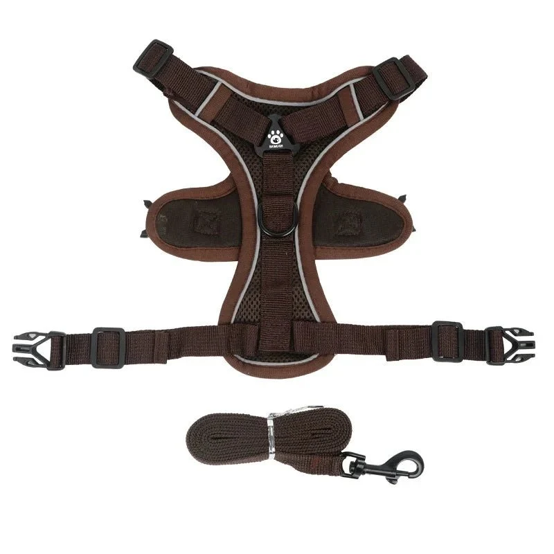 Harnais anti traction petit chien