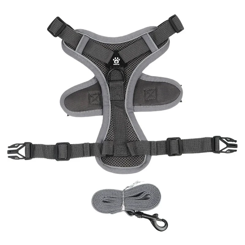 Harnais anti traction petit chien