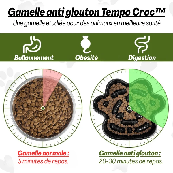 Gamelle anti glouton chat - Céramique design griffe - Tempo Croc™