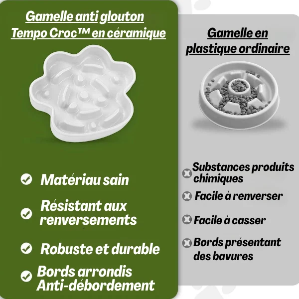Gamelle anti glouton chat - Céramique design griffe - Tempo Croc™