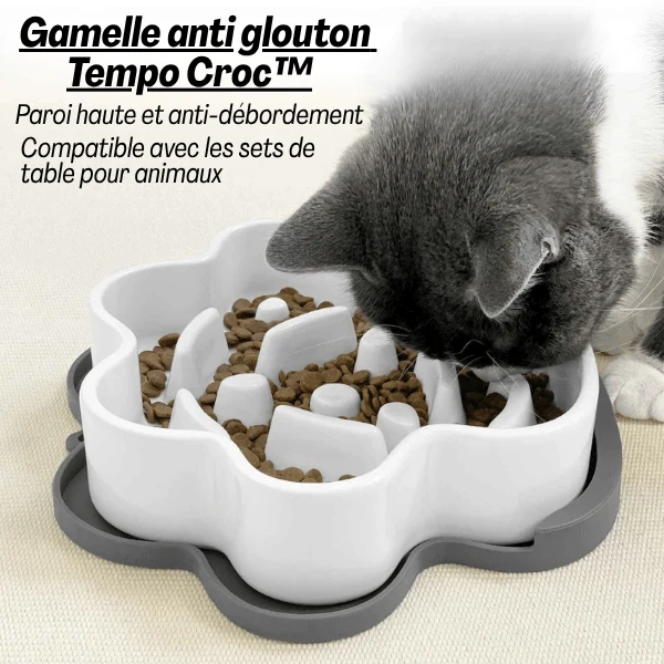 Gamelle anti glouton chat - Céramique design griffe - Tempo Croc™