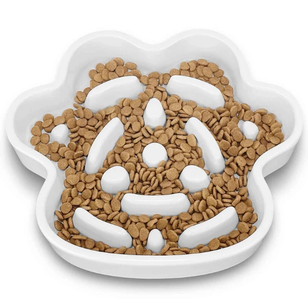 Gamelle anti glouton chat - Céramique design griffe - Tempo Croc™