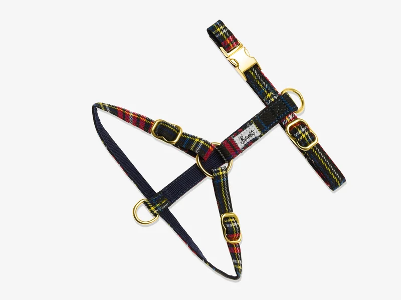 Le harnais pour chat tartan