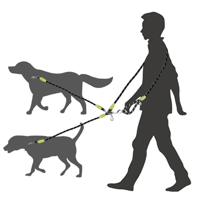 Laisse double pour 2 chiens