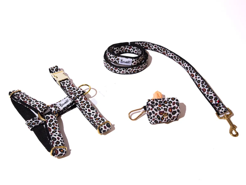 Kit Harnais + Laisse + Pochette sacs à crottes