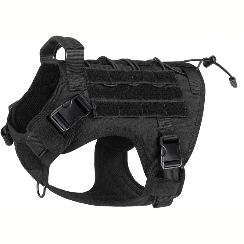 Meilleur harnais chien anti traction