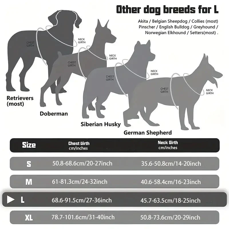 Meilleur harnais chien anti traction